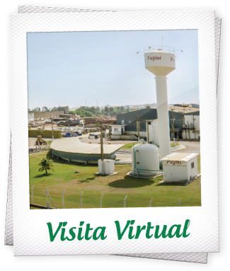 Visita Virtual